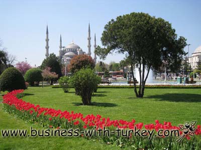 Consultoria atrav�s de conversa telef�nica
  sobre qualquer assunto relativo aos Turcos e a Turquia
